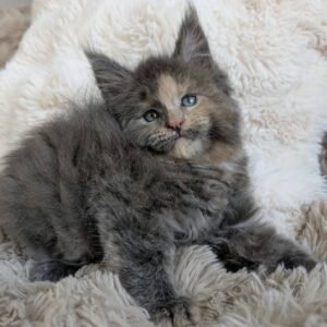 Freya